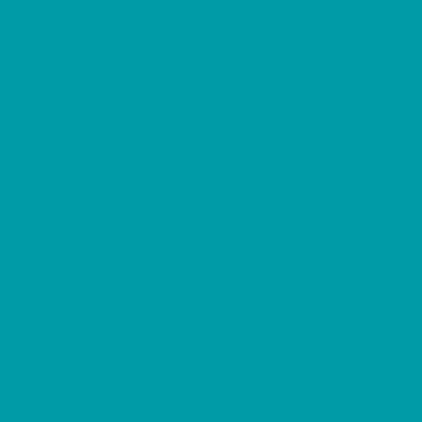 AP Rustic Turquoise 7438 paint color swatch — hex #009BA7