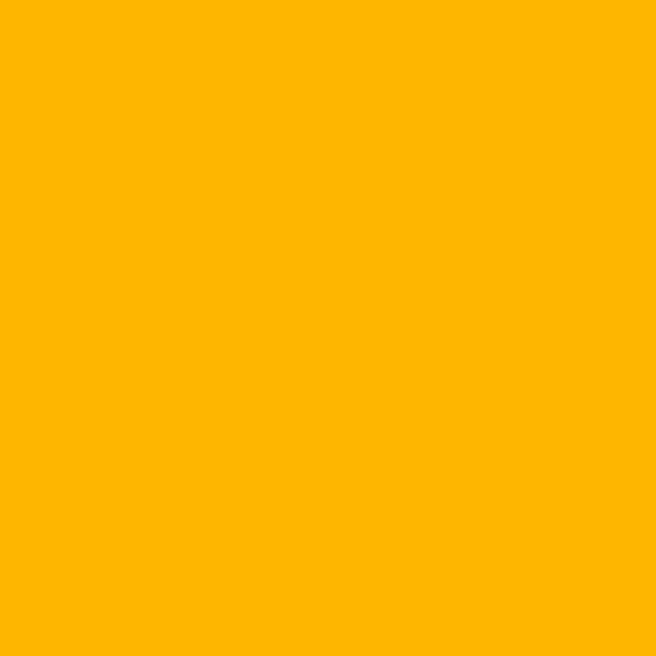 AP Mango 7909 paint color swatch — hex #FEB600