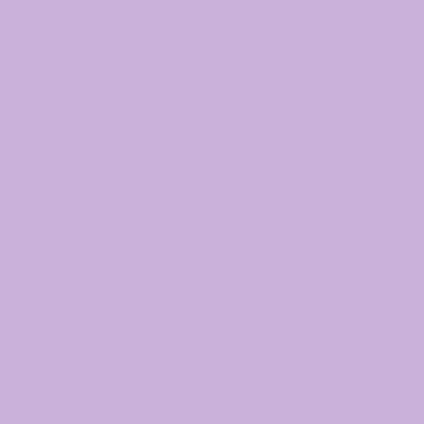 AP Catmint Blossom-n 9602 paint color swatch — hex #CAB1DA