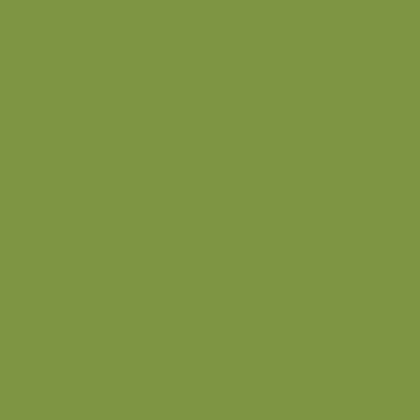 AP Veggie Patch-n 9781 paint color swatch — hex #809647