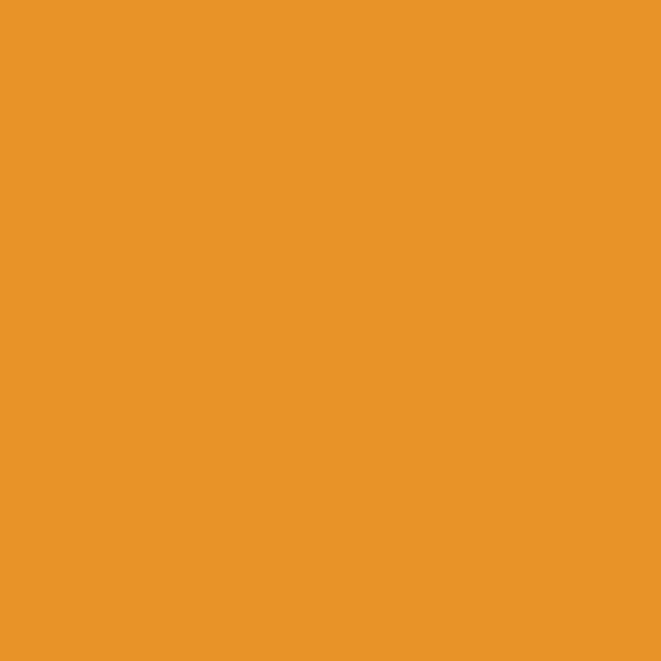 AP Orange Grove-n 9898 paint color swatch — hex #E89125