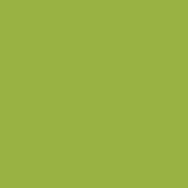 Behr Bamboo Leaf 410B-7 paint color swatch — hex #99B243
