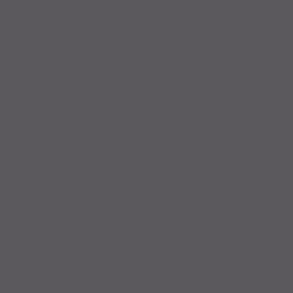 Behr Dark Shadows MQ5-2 paint color swatch — hex #5B595D
