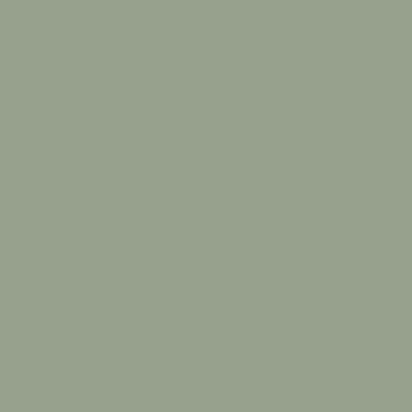 Behr Bitter Sage N390-4 paint color swatch — hex #97A18D