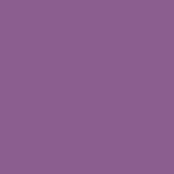 Behr Chakra P100-6 paint color swatch — hex #8B5E8F