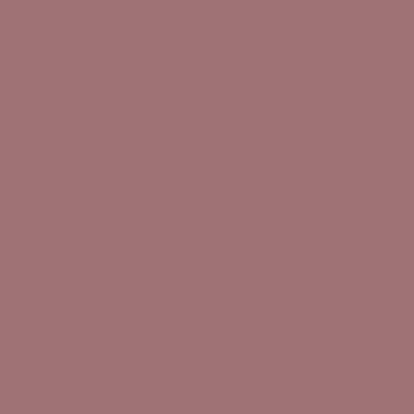 Behr Regal Rose QE-05 paint color swatch — hex #9D7374