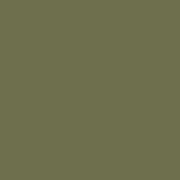 Behr Outdoor Oasis S370-7 paint color swatch — hex #6E6F4D