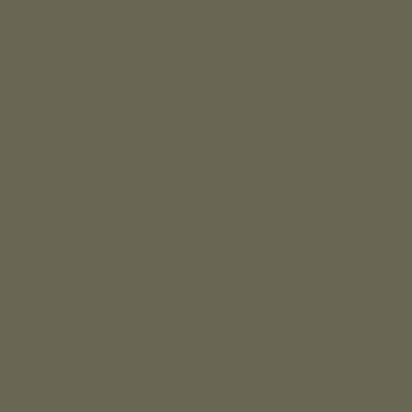 BM Trailing Vines 1505 paint color swatch — hex #696753