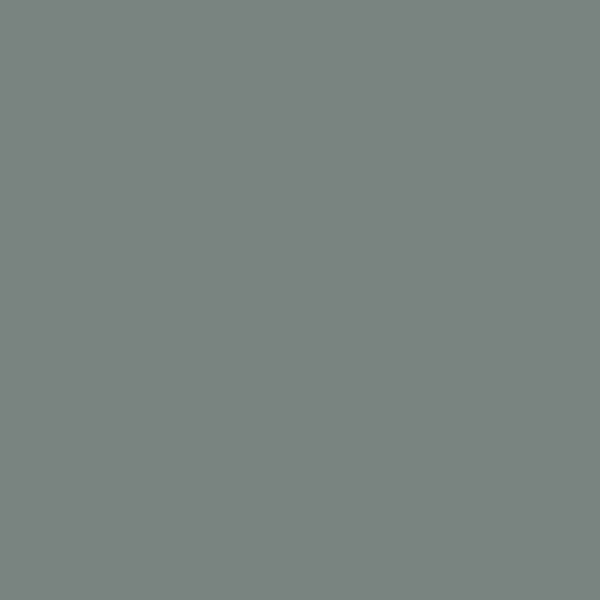 BM Night Train 1567 paint color swatch — hex #7A847F