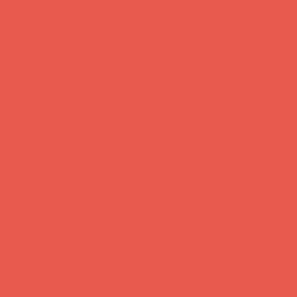 BM Dark Salmon 2009-30 paint color swatch — hex #E75A50