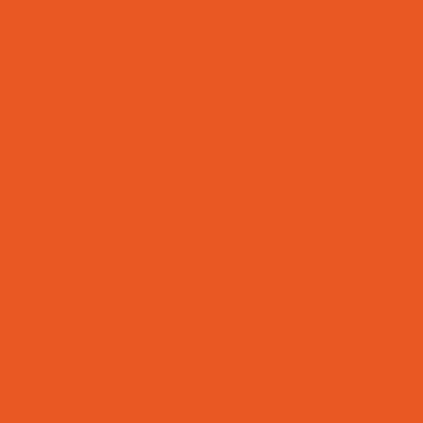 BM Festive Orange 2014-10 paint color swatch — hex #E95823
