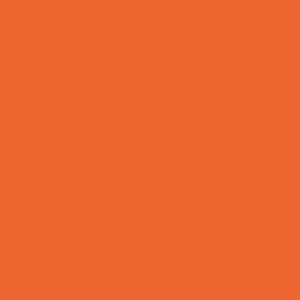 BM Rumba Orange 2014-20 paint color swatch — hex #EF6530