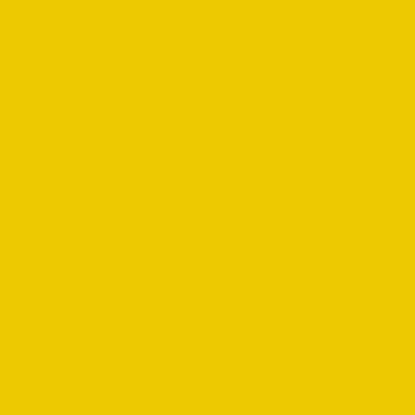 BM Yolk 2023-10 paint color swatch — hex #ECC900