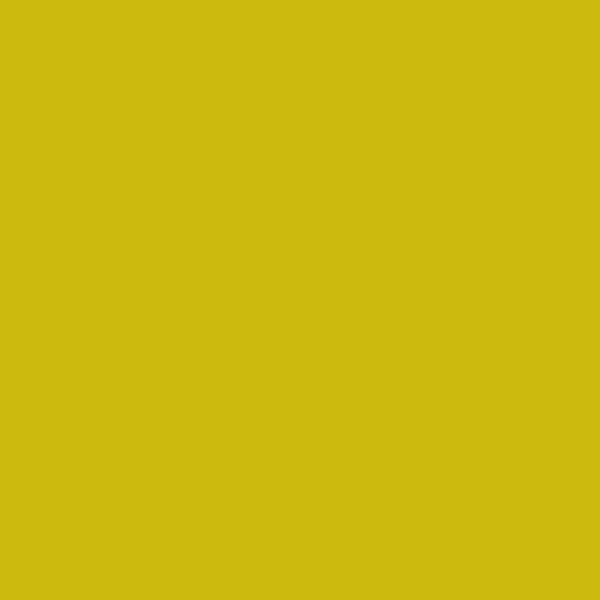 BM Eve Green 2024-20 paint color swatch — hex #CCBB0E
