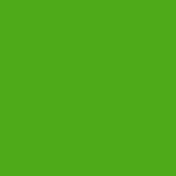 BM Neon Lime 2031-10 paint color swatch — hex #50AB18