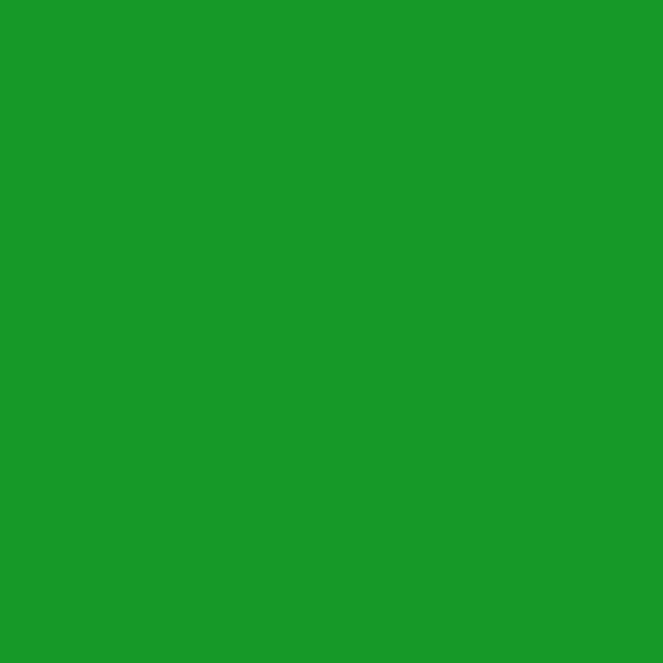 BM Neon Green 2032-10 paint color swatch — hex #169928