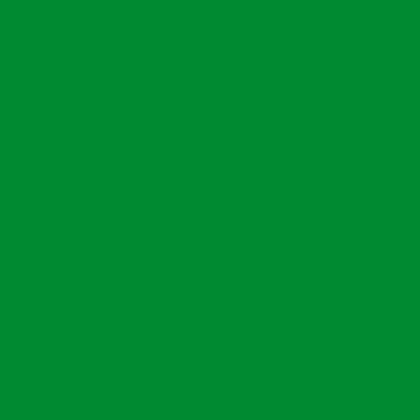 BM Yellow Green 2033-10 paint color swatch — hex #008A31