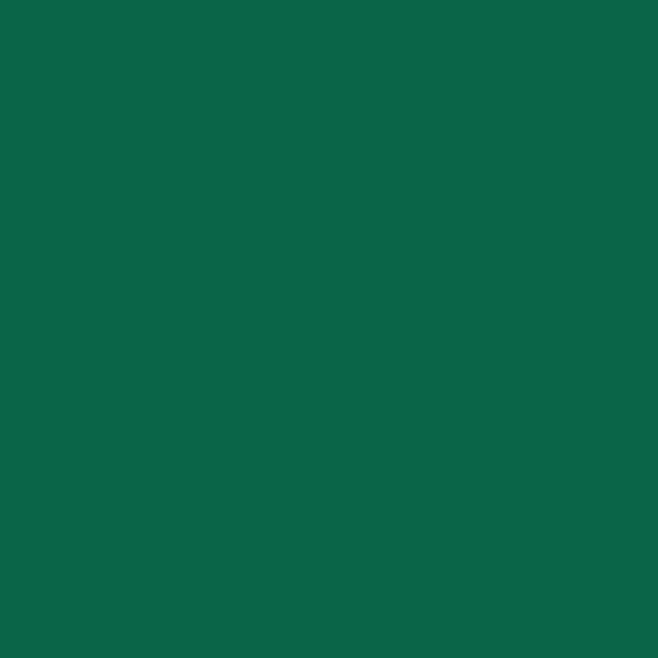 BM Green Meadows 2040-20 paint color swatch — hex #0A6548