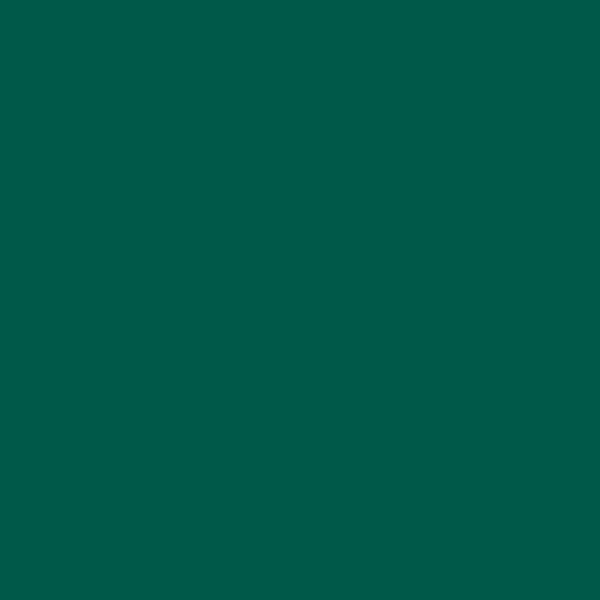 BM Green Bay 2045-10 paint color swatch — hex #005949