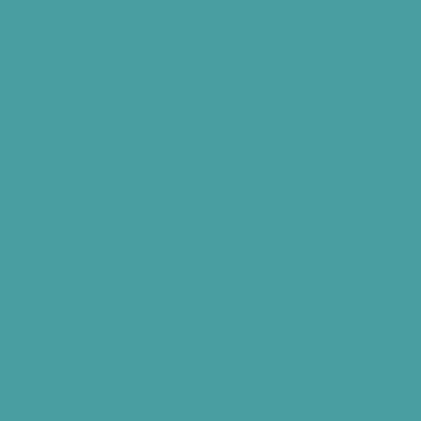 BM Blue Spa 2052-40 paint color swatch — hex #499EA1