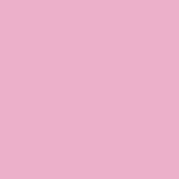 BM Pink Begonia 2078-50 paint color swatch — hex #ECB0CA