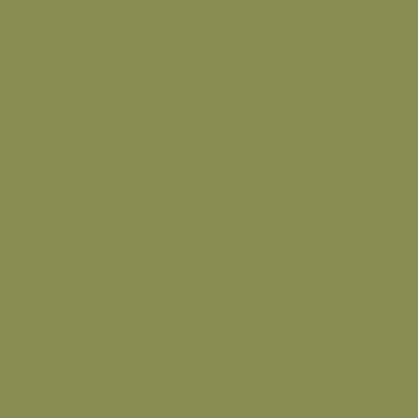BM Terrapin Green 2145-20 paint color swatch — hex #8B8C50
