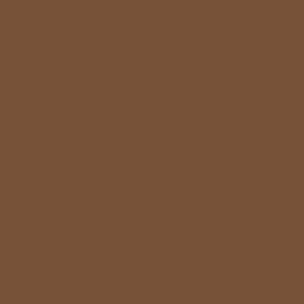 BM Cordwainer 2164-10 paint color swatch — hex #765138
