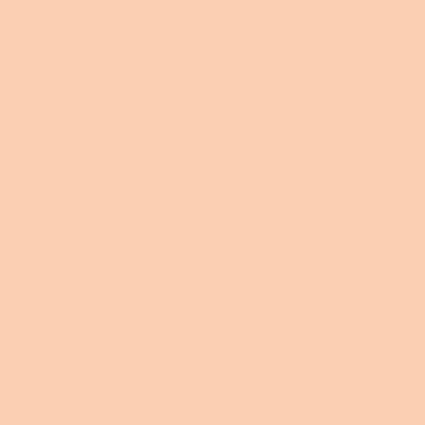 BM Perfect Peach 2167-50 paint color swatch — hex #FBCFB3