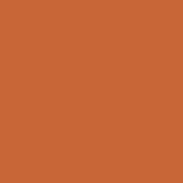 BM Fall Harvest 2168-10 paint color swatch — hex #C86638