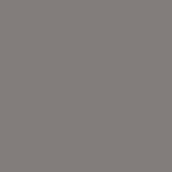 BM Granite AF-660 paint color swatch — hex #827D7B
