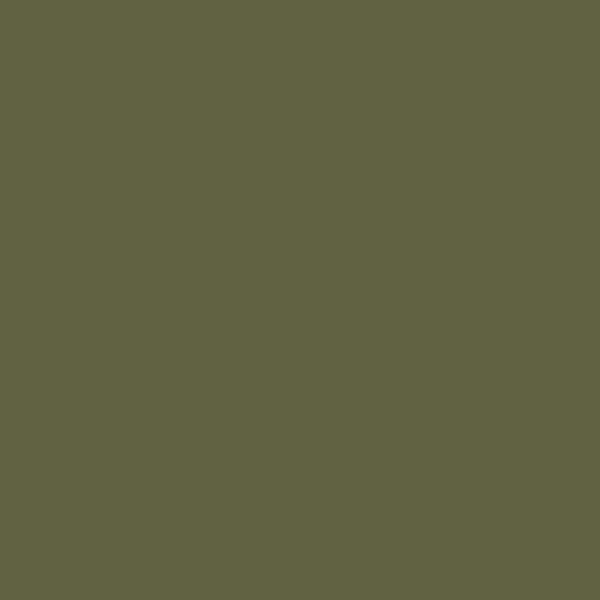 BM Bonsai CC-666 paint color swatch — hex #606241