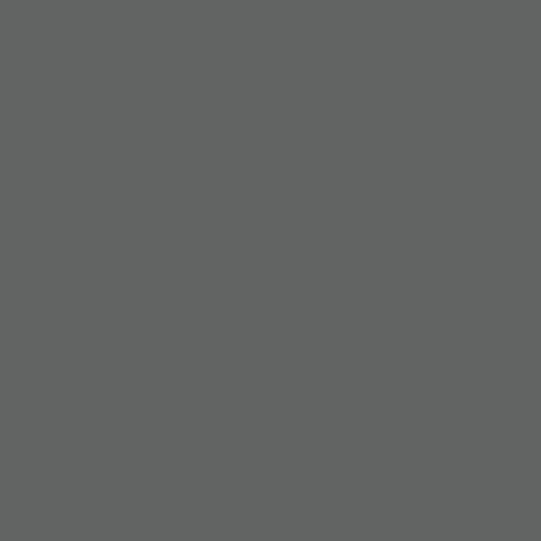 BM City Shadow CSP-60 paint color swatch — hex #626463