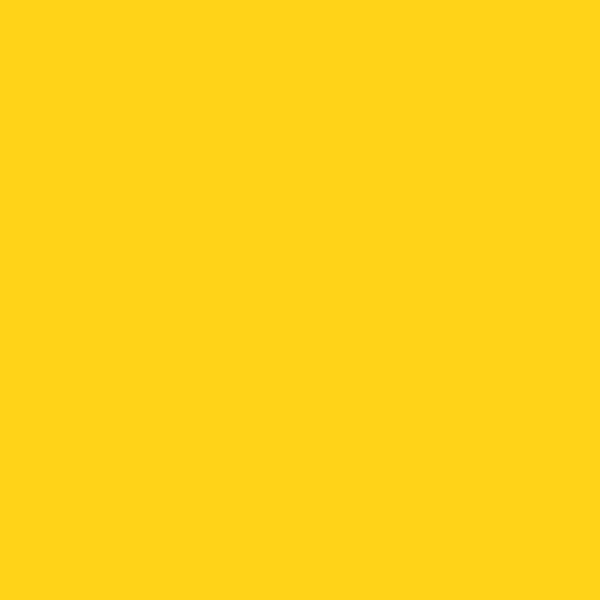 Berger Yellow Yolk 3D2858 paint color swatch — hex #FFD318