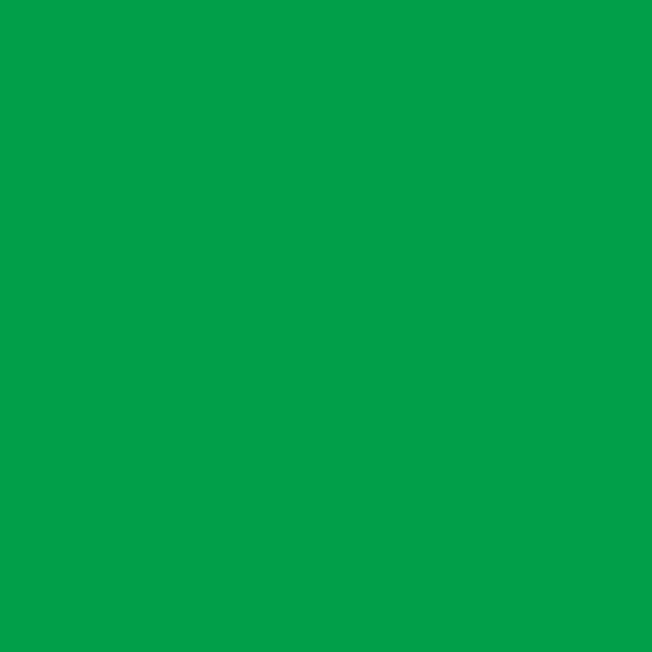 Berger Lawn And Garden 4A0920 paint color swatch — hex #019F49