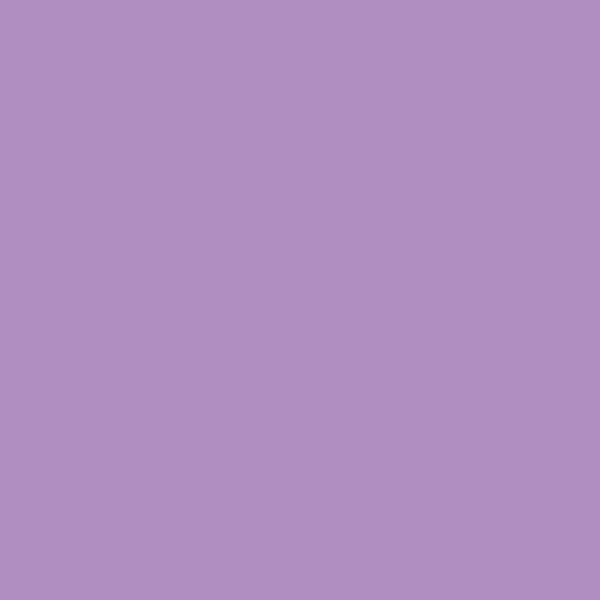 Berger Royal Dignity 6D2358 paint color swatch — hex #B18EC2