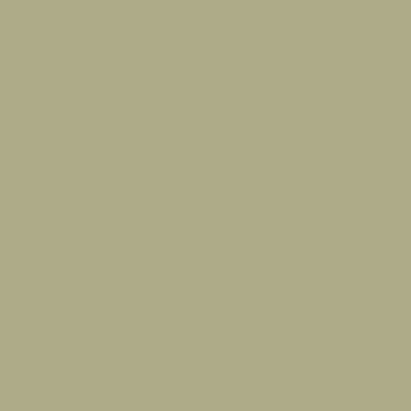 C2 Serendipity C2-668 paint color swatch — hex #AEAC88