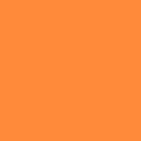 Caparol Ceramic 95 CERAMIC 95 paint color swatch — hex #FF8A37