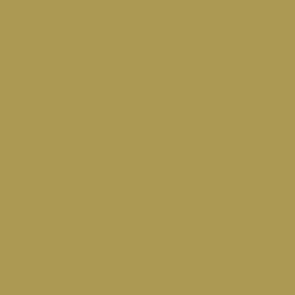 Caparol Citrus 40 CITRUS 40 paint color swatch — hex #AC9953