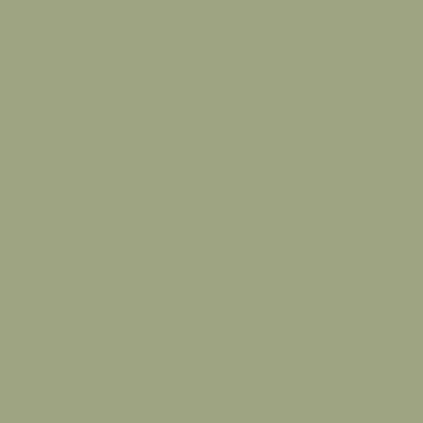 Caparol Jade 100 JADE 100 paint color swatch — hex #A1A481
