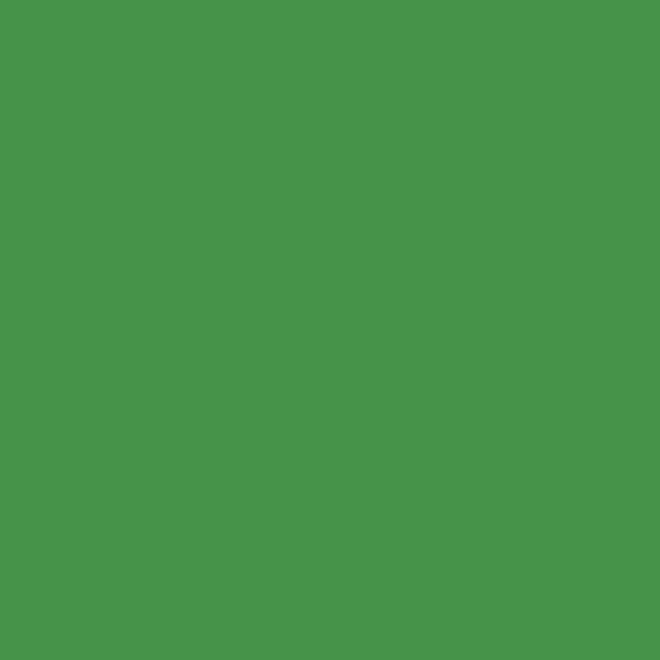 Caparol Laser 65 LASER 65 paint color swatch — hex #469349
