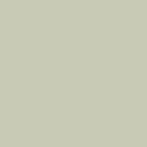 Caparol Moos 80 MOOS 80 paint color swatch — hex #C8CAB6