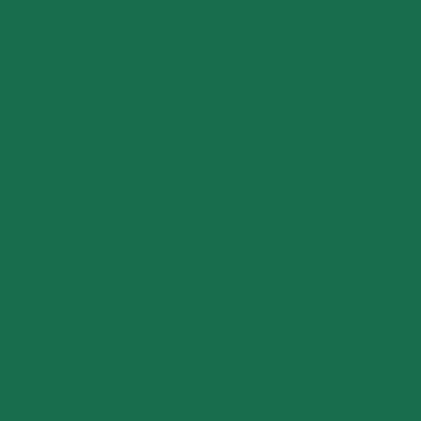 Caparol Palm 65 PALM 65 paint color swatch — hex #186D4D