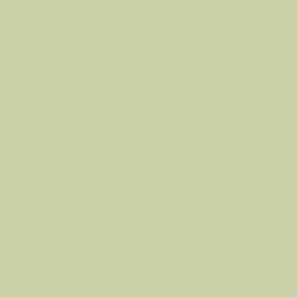 Caparol Pinie 85 PINIE 85 paint color swatch — hex #CAD1A8