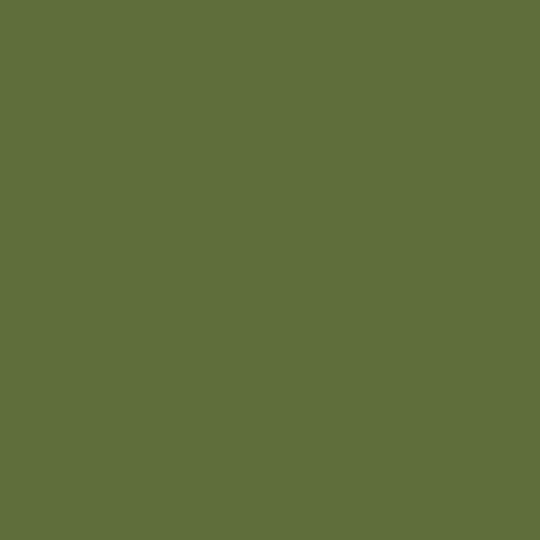 Dulux AU Crisp Capsicum S21E9 paint color swatch — hex #5F6E3B