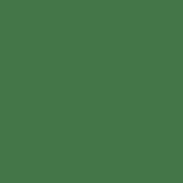 Dulux AU Maidenhair Fern S24D8 paint color swatch — hex #447648