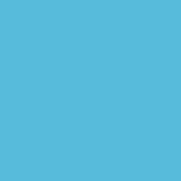 Dulux AU Nancy S34H2 paint color swatch — hex #57BCDC