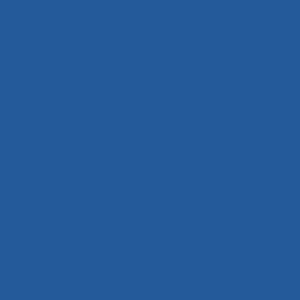 Dulux AU Blue Sail S40H8 paint color swatch — hex #24589A