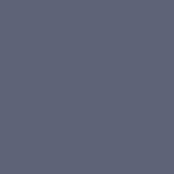 Dulux AU Presumption S41C6 paint color swatch — hex #5E6377