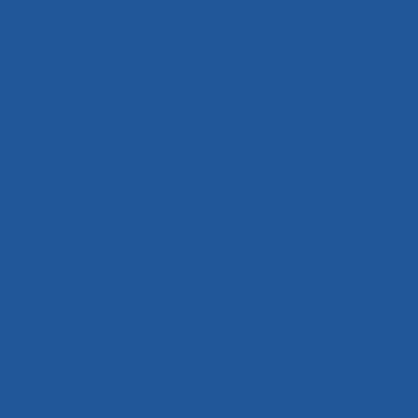 Dulux AU Summer Waters SB8E8 paint color swatch — hex #215799