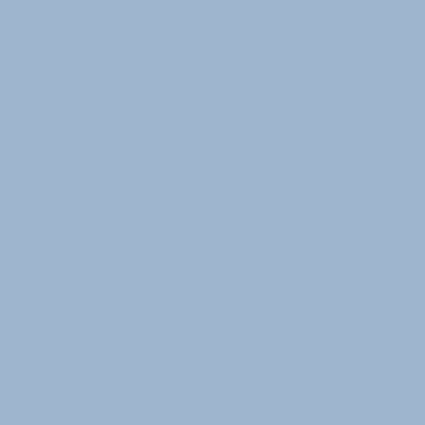 Dulux Atlantic Surf 4 52953 paint color swatch — hex #9EB5CE